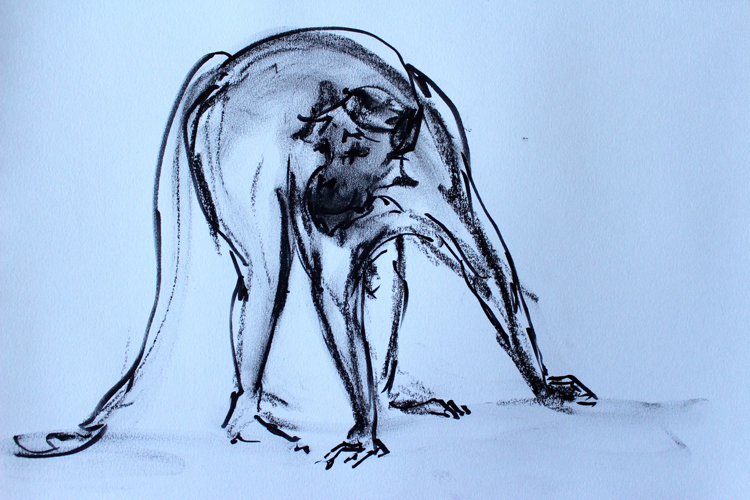 Drawings. Monkey. 2014